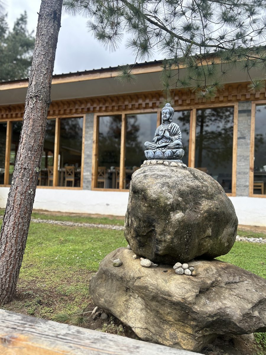 A small stone Buddha statue resting on a boulder in a quiet garden